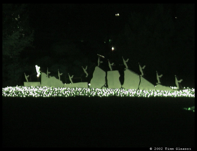 These are penguins all done up in lights.