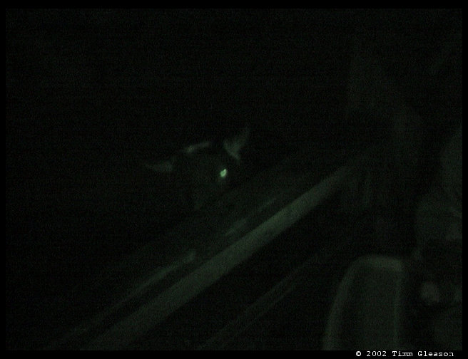 Not sure what this is a picture of...but it is here.