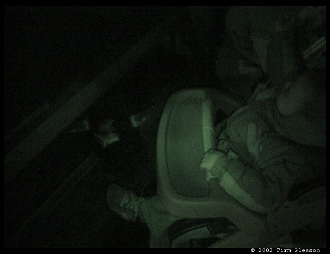 Logan in his stroller looking at the goats.