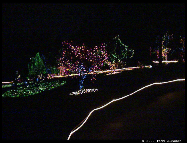 A shot looking back down the path.