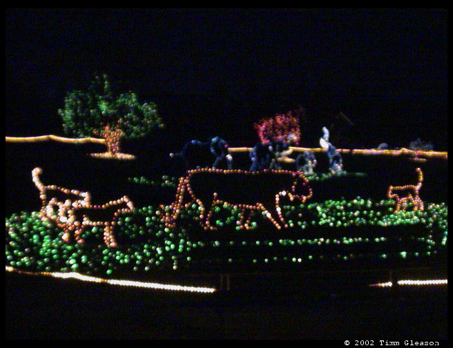 Picture taken without night shot.