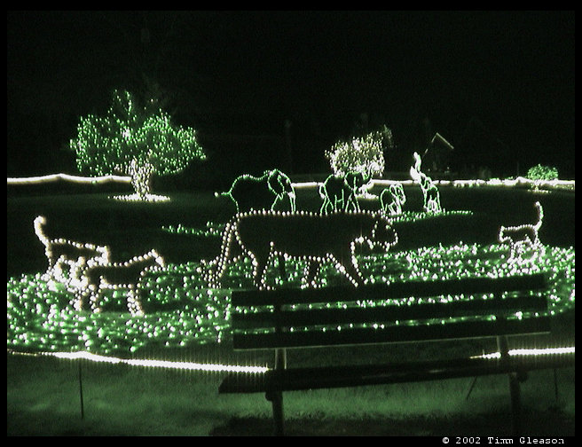 Now we get to see the lions and elephants up close.
