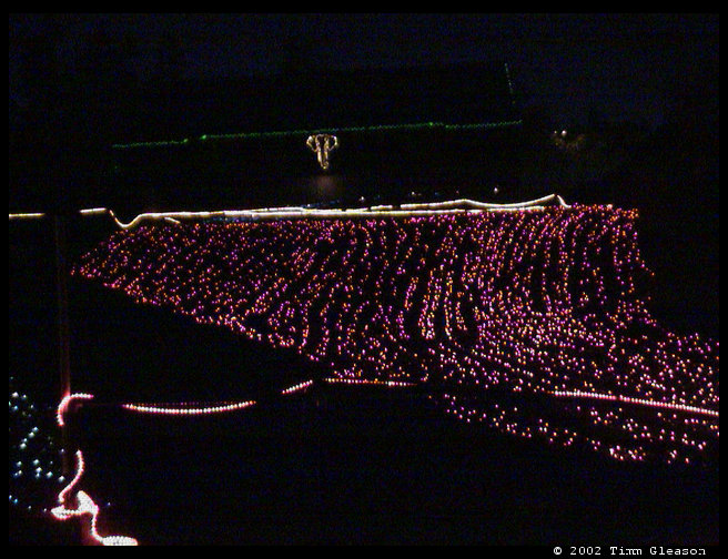 Can you see the elephant all lit up in the background?