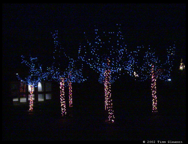 A whole grove of trees here.