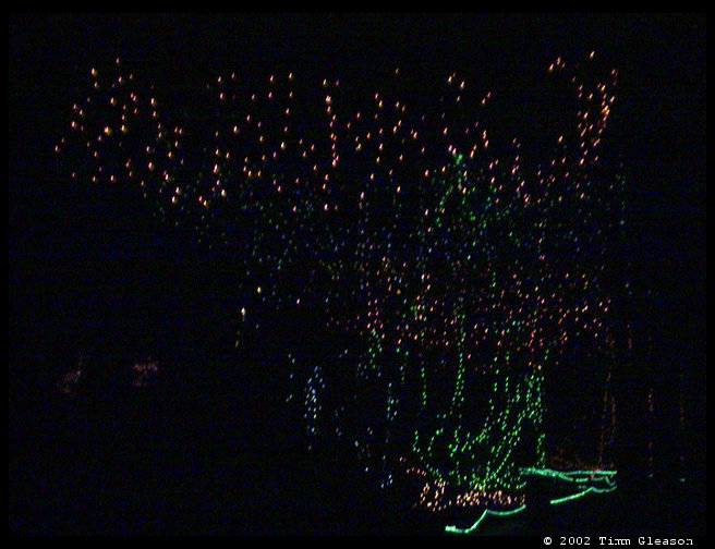 A cool tree all lighted up.