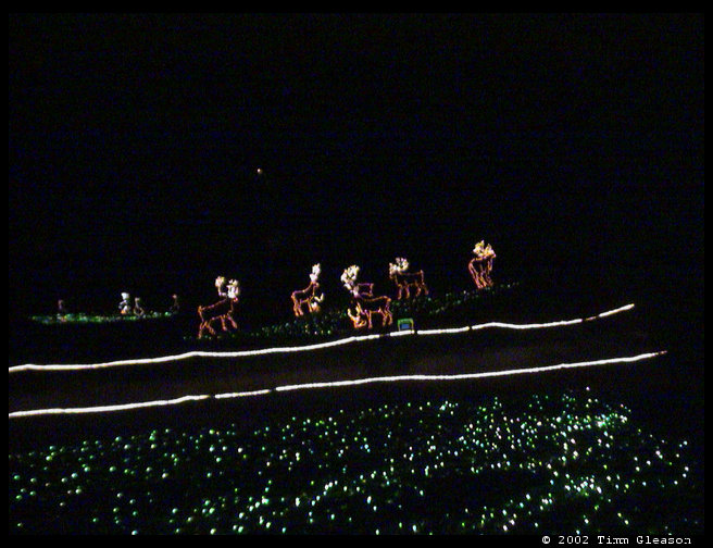 Different angle of the Reindeer lights.
