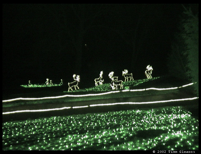 Reindeer light display.