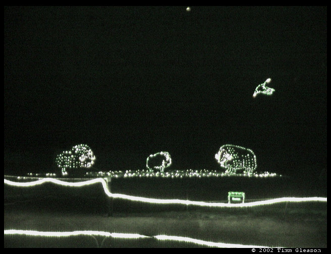 Water buffalo lights.