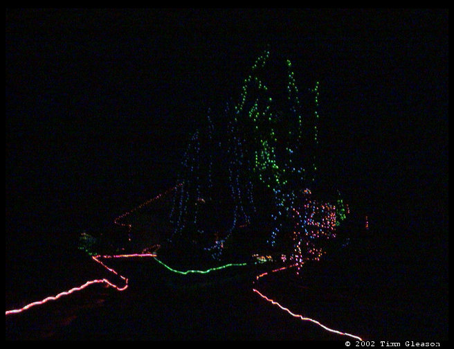Zoo lights at Pt. Defiance