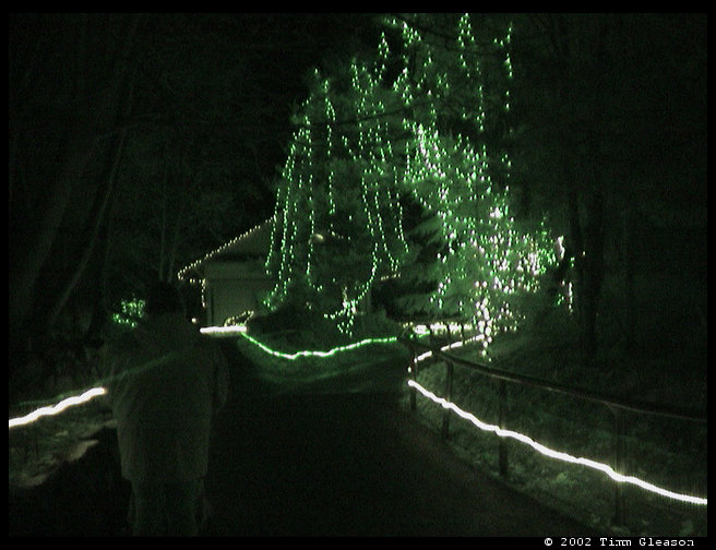 A beautiful shot of the Zoo Lights.