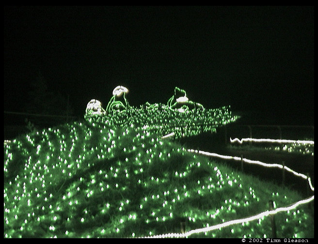A penguin light display.