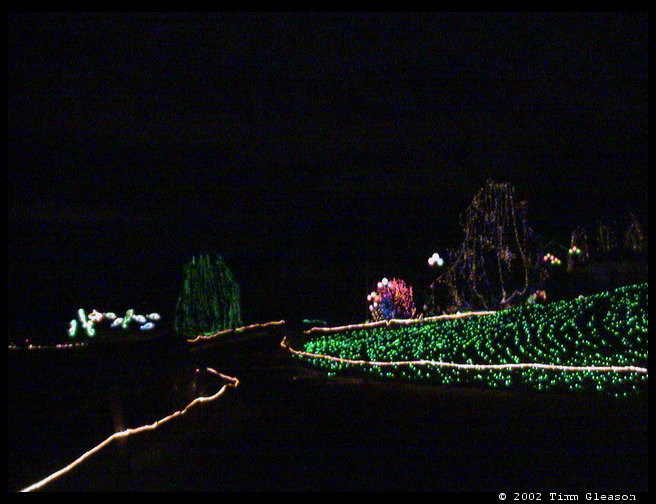 An overview of lights at Zoo Lights