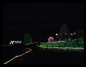 An overview of lights at Zoo Lights