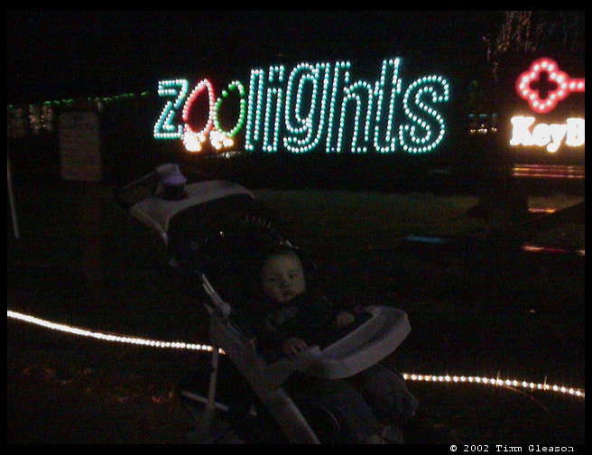 Logan's first trip to the Zoolights.