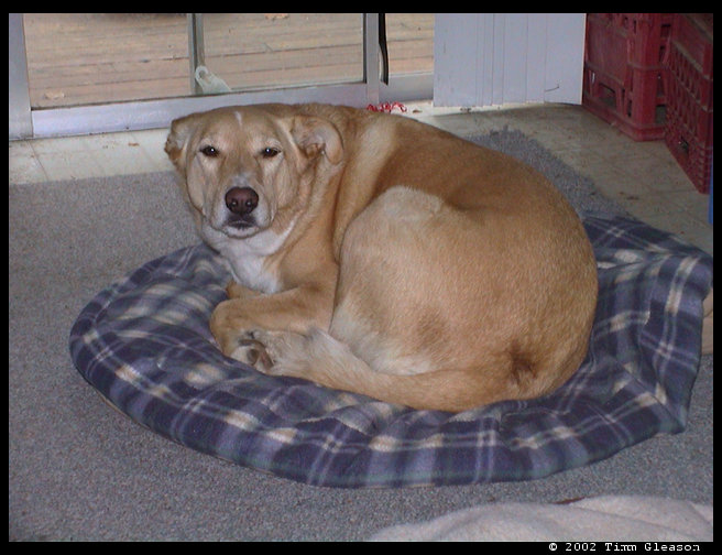 Maya acting like her meek self.