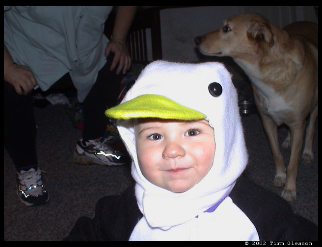 Our sweetheart as Wheezy.