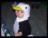 There is our little Wheezy - isn't he cute?!