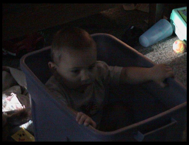 We bought a new tote and Logan crawled on in.