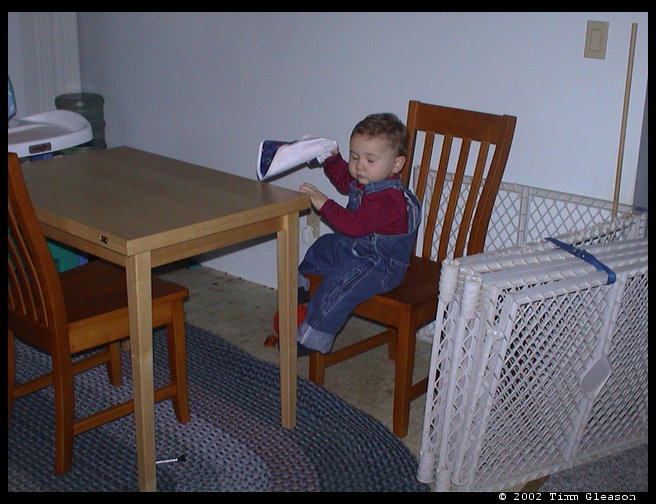 Hanging out at the table waiting for food.