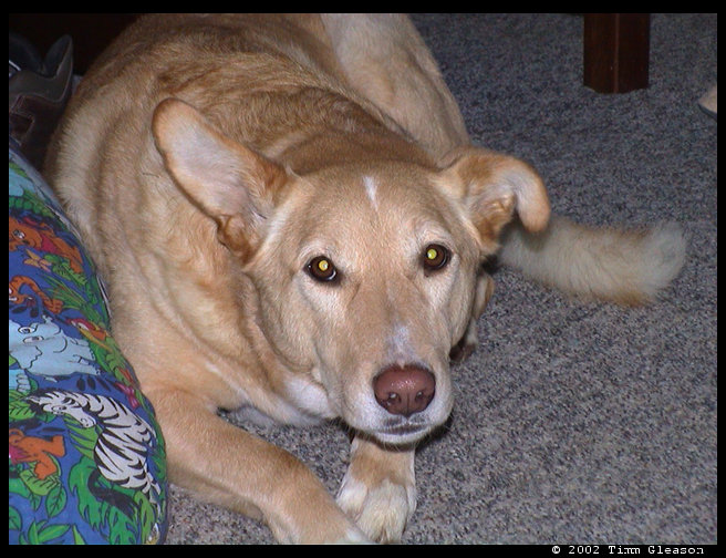 Maya and all her cuteness.