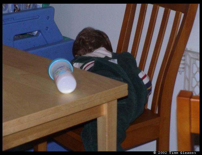 Logan climbs everything.