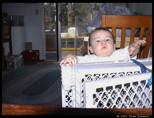 Trying to navigate the gate?