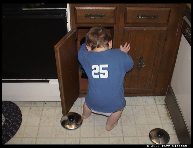 Hey buddy, what are you doing?