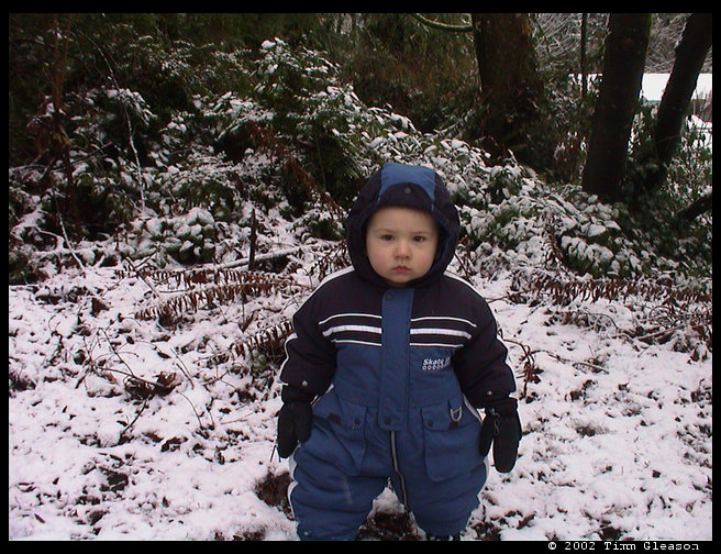 Logan seemed to really like the snow.