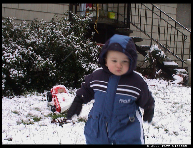 Toddling around in the snow.