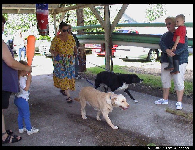 Diane walking her dogs Buster and Sadie.  