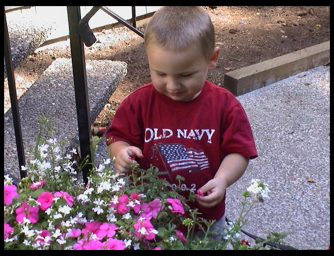 It is all about stopping to smell the flowers.