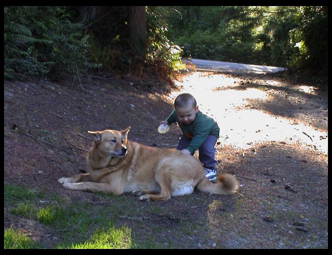 Logan and Baja.  Logan is trying to be sweet and pet her. 