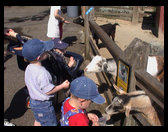 Lucas, Jared and Logan feeding the goats. 