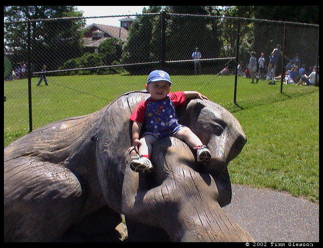 Sitting on the Polar Bear sculpture at the zoo. 