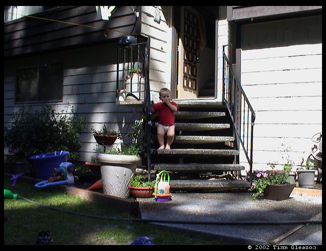 Logan enjoying a hot day and playing his harmonica. 