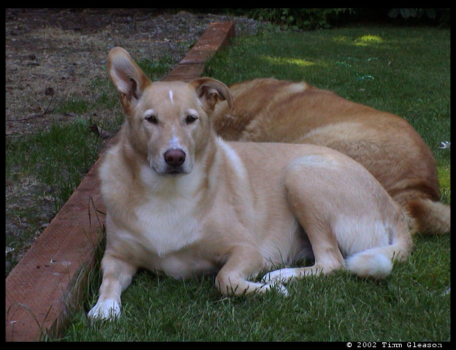 Maya has to know what is going on at all times. 