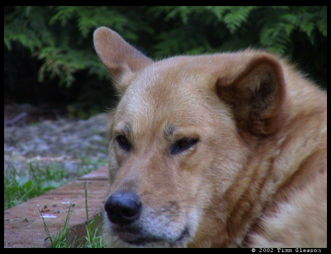 Baja acting all regal.