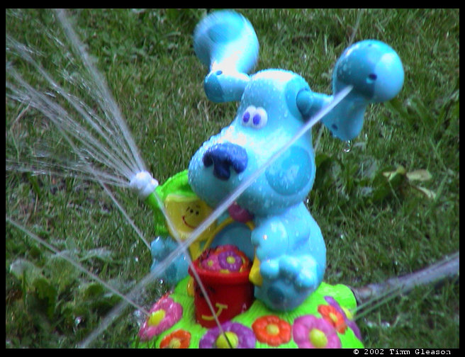 Logan's Blue's Clues Sprinkler.