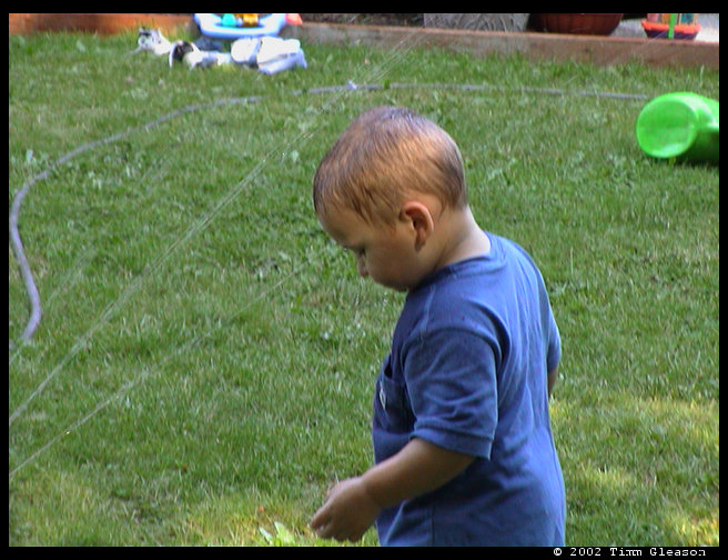 Getting soaked in the sprinkler. 