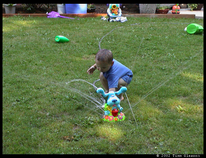 Playing in the water. 