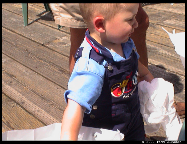 Logan was helping take the tissue out of Aunt Heather and Uncle Jeff's wedding present.  