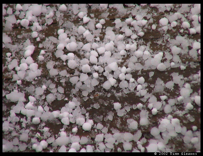 Hail we had in about 5 minutes.