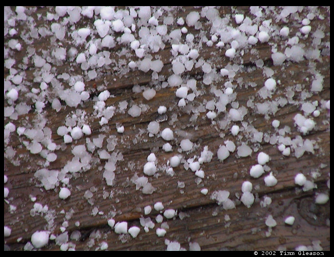 For reference, that board is about 3.5 inches wide.