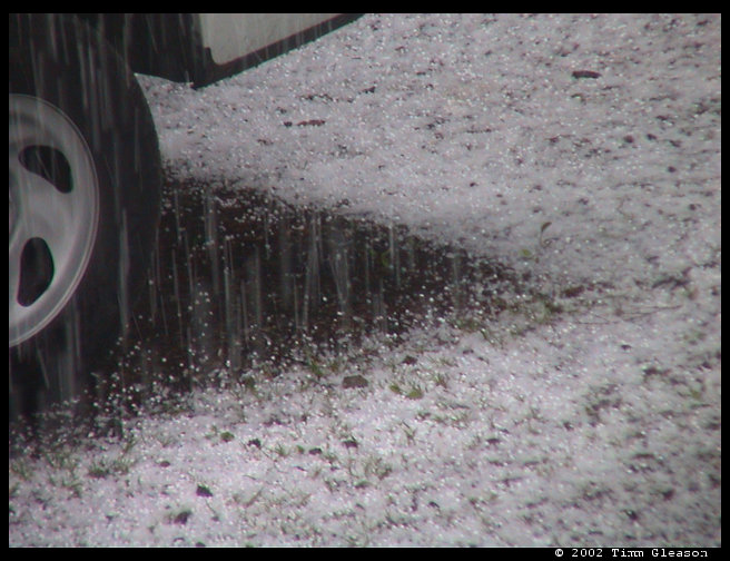 A lovely spring day.