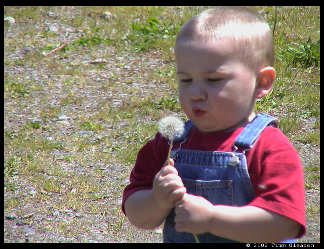 The joy of being a child!