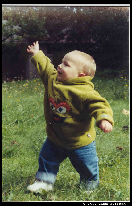 Logan reaching for leaves Oct. 2001
