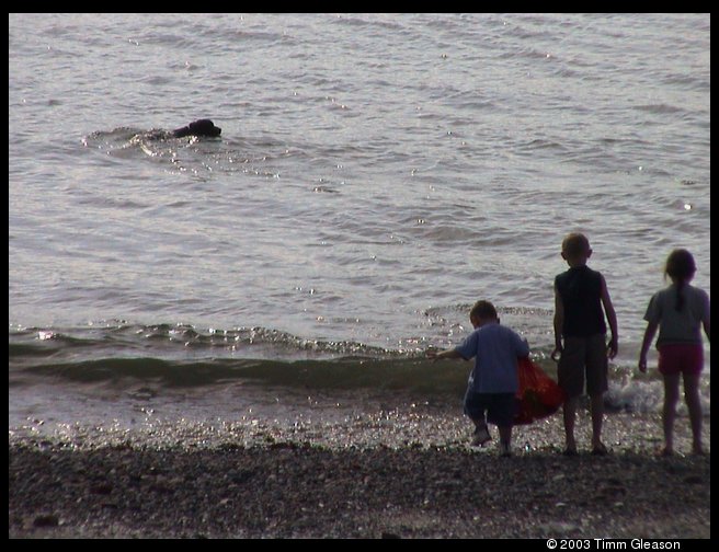 The beach at Herbs house