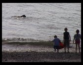 The beach at Herbs house