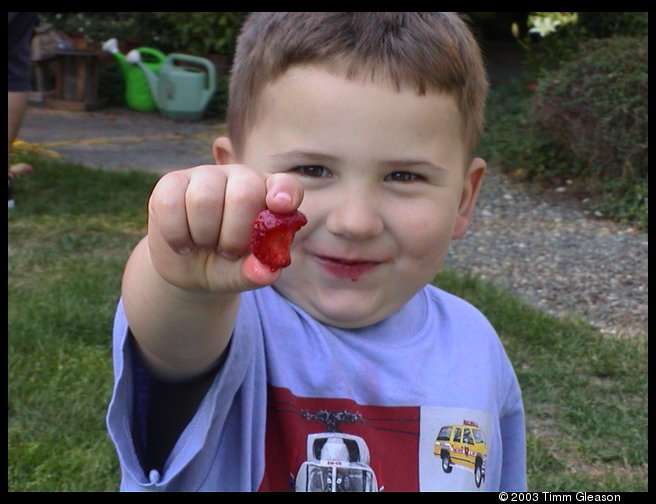 The strawberry kid